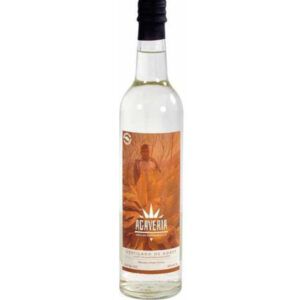 Mezcal agave Tobalá