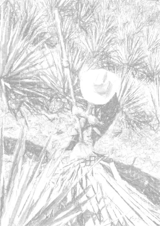 jimando