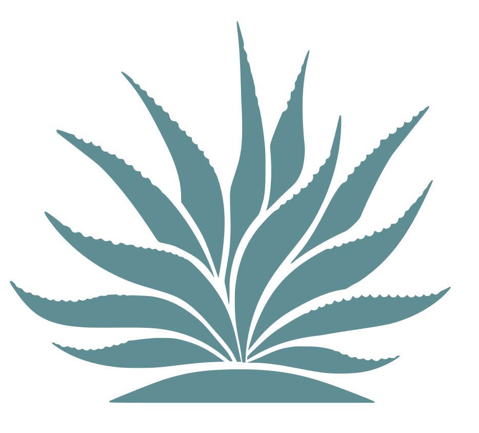 logo recortado